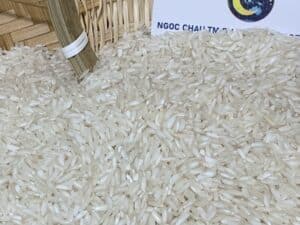 504 Rice - fragrant, blooming Vietnamese Rice