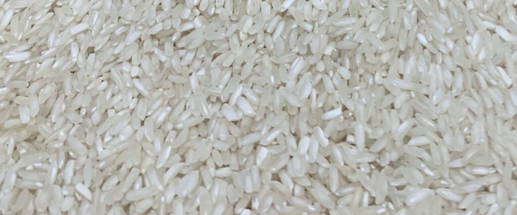 504 Rice - fragrant, blooming Vietnamese Rice