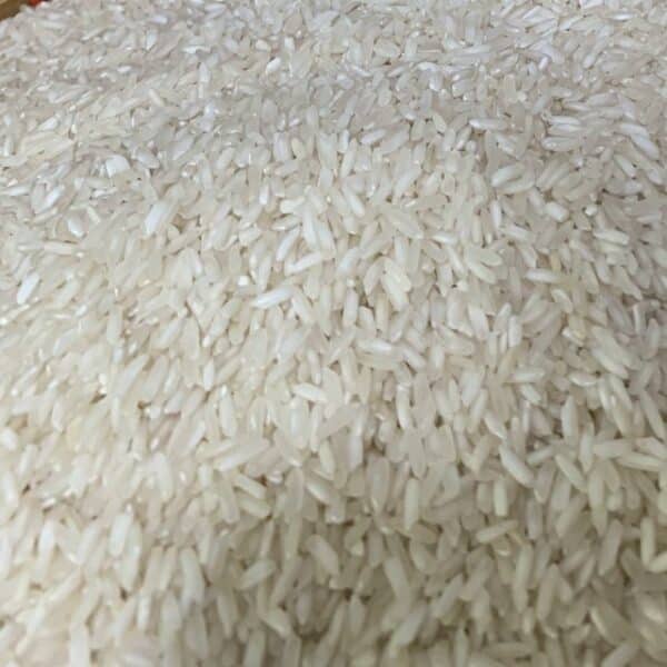 504 Rice - fragrant, blooming Vietnamese Rice