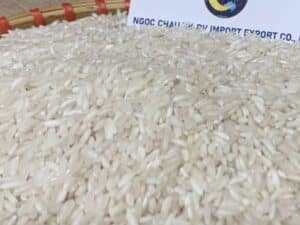 504 Rice - fragrant, blooming Vietnamese Rice