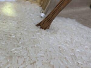 DT8 rice - fragrant, sweet and supple properties