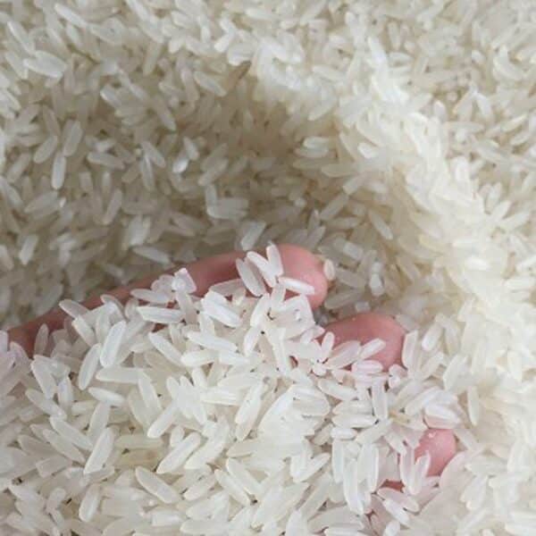 DT8 rice - fragrant, sweet and supple properties