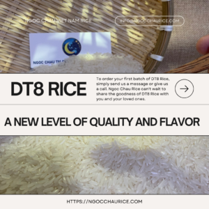 DT8 rice
