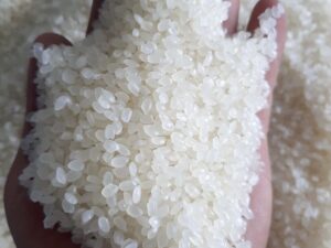 Japonica rice - Sushi rice, Short grain rice