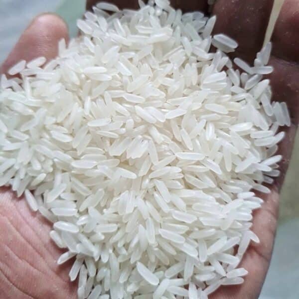 Jasmine rice export by ngocchau long grain rice 6.7mm