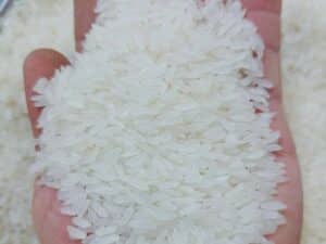 Jasmine rice export by ngocchau long grain rice 6.7mm