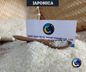 Japonica Rice