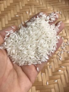 504 RICE