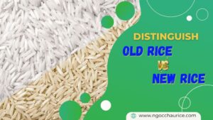 Is It Safe to Eat Old Rice? How to Distinguish Old rice and New Rice