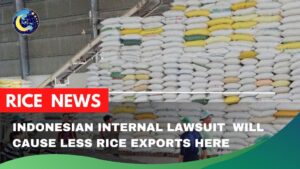 Indonesian internal lawsuit will cause less rice exports here