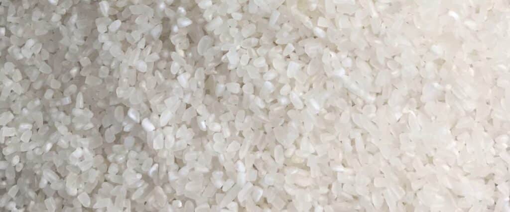 Broken rice - Vietnam fragrant rice 100% broken