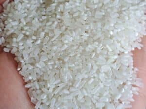 Broken rice - Vietnam fragrant rice 100% broken