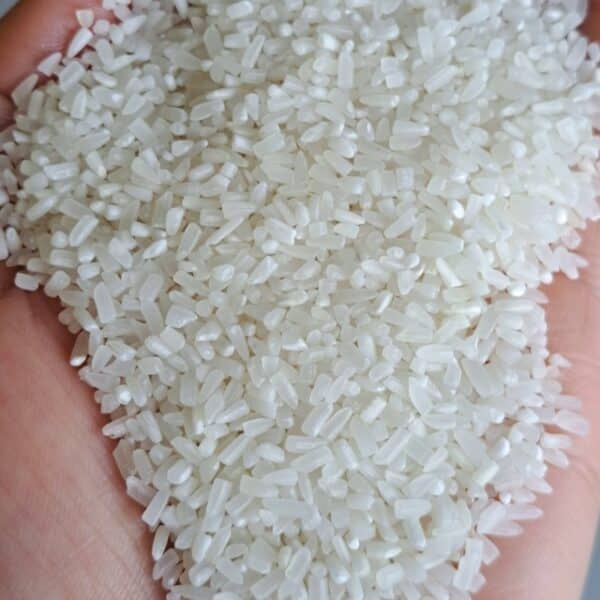 Broken rice - Vietnam fragrant rice 100% broken