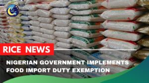 Nigerian Government Implements Food Import Duty Exemption