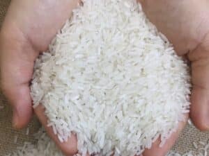 Premium white rice from Thailand and Vietnam