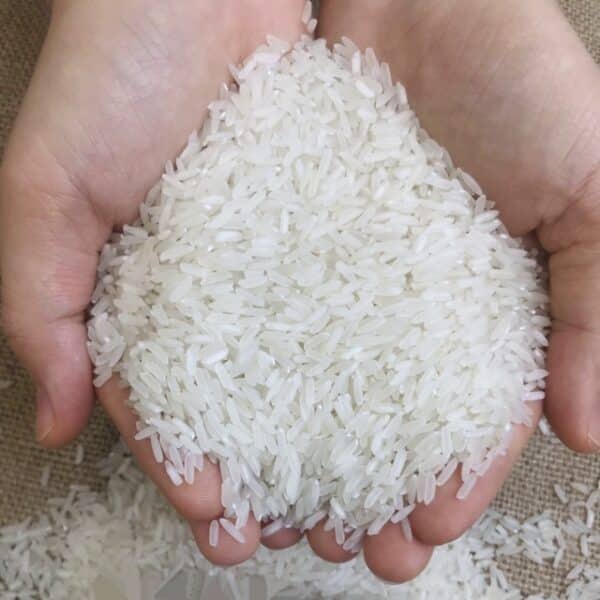 Premium white rice from Thailand and Vietnam